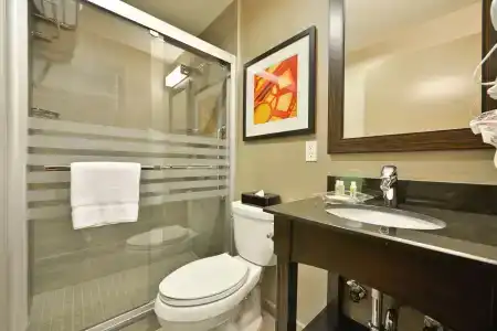 Holiday Inn Lower East Side, An Ihg - 56