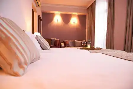Lion Sofia - 12