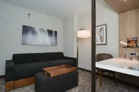 SpringHill Suites by Marriott Charlotte Uptown - 49