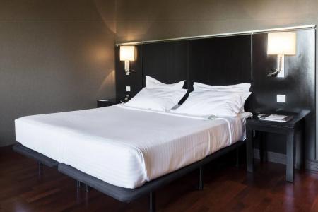 Ac Palacio De Santa Ana By Marriott - 17