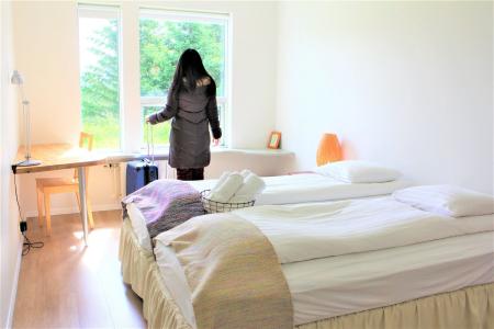 Solheimar Eco-Village - 65