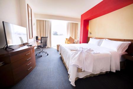 Holiday Inn Express Guadalajara Expo, An Ihg - 3