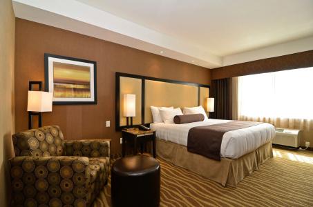 Best Western Premier Freeport Inn Airport - 93