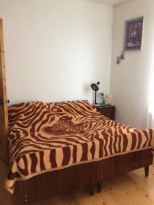 Mount view - 12