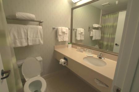Springhill Suites Houston Medical Center / Nrg Park - 49