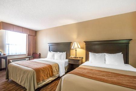 Comfort Inn at Thousand Hills - 60