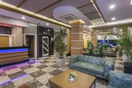 Lonicera City - 1