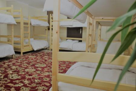 Happy Camper Hostel - 17
