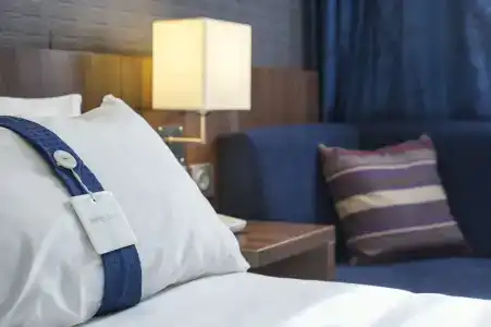 Holiday Inn Express Lille Centre, an IHG - 46