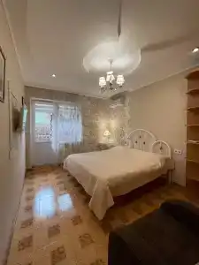 Кипарис на Красноармейском - 7