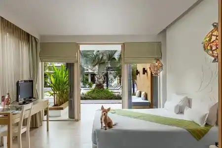 The Lapa Hua Hin - 45