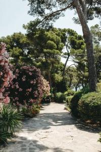 Provençal - 27
