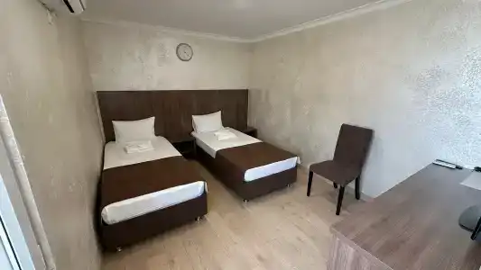 Кочеты на М4 - 6