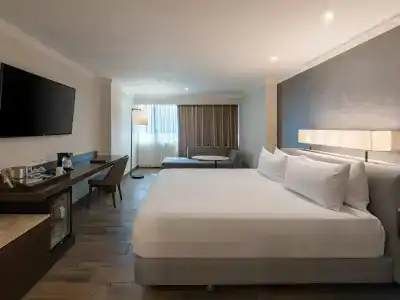 Hyatt Regency Merida - 53