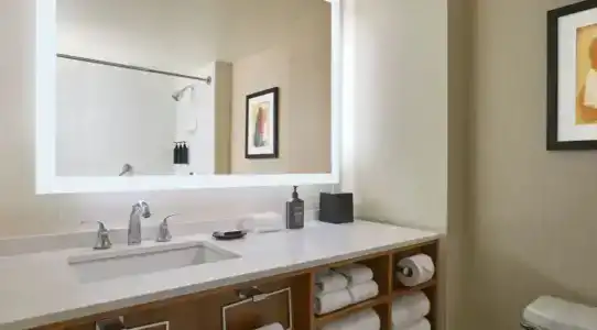 Sheraton Grand Chicago - 91