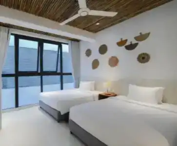 Maple & Apartment - 233