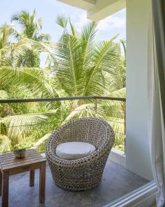 Bliss Dhigurah - 68