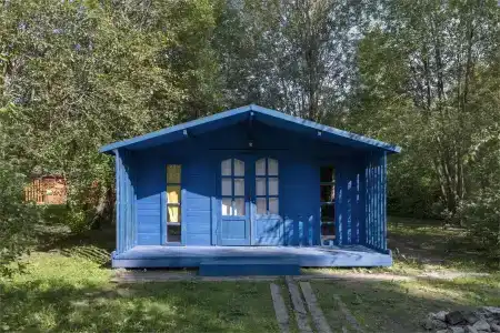 Клевер - 211