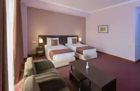Ani Central Inn - 61