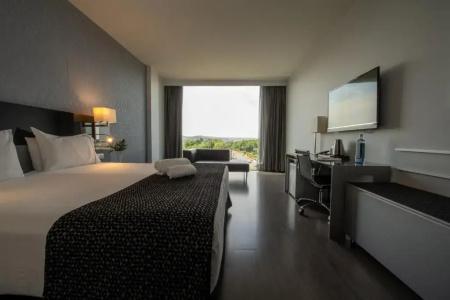 Eurostars Palace - 61