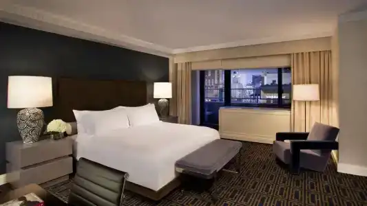 Loews Regency New York - 102