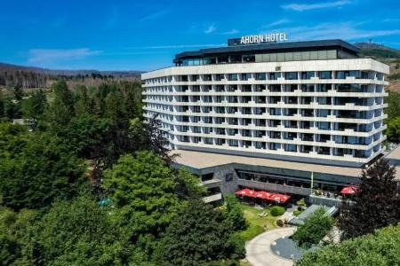 Ahorn Harz Braunlage - 0