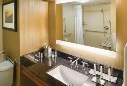 DoubleTree by Hilton Seattle Airport - 31