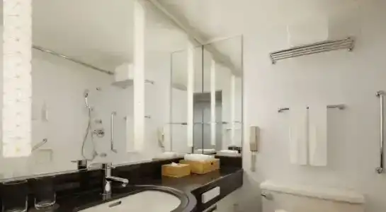 Courtyard by Marriott Tokyo Ginza - 29