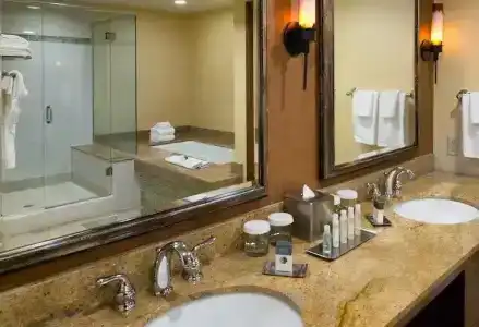 DoubleTree by Hilton Seattle Airport - 49
