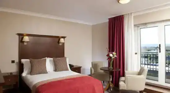 Clayton Ballsbridge - 30