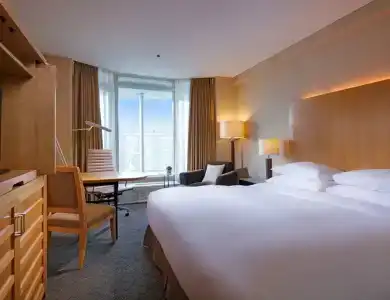 Sheraton Miyako Osaka - 34