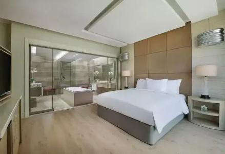 Hilton Dead Sea Resort & Spa - 78