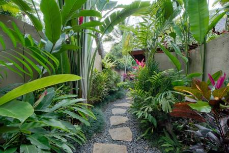 Temuku Villas - 41