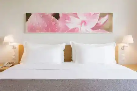 Hf Fenix Garden - 44