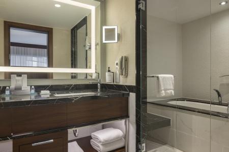 Conrad Istanbul Bosphorus - 23