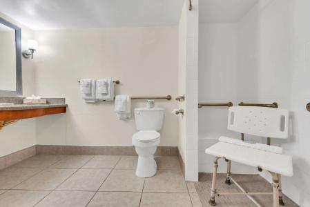 Best Western Orlando Gateway - 17