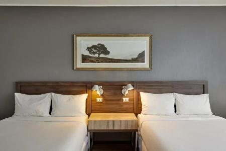 Radisson Blu Plaza El Bosque - 38