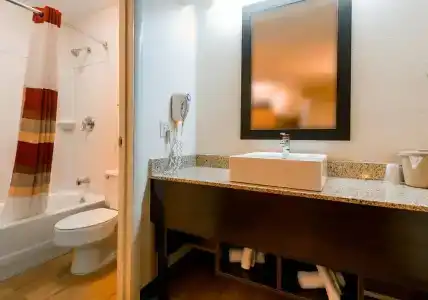 Red Roof Inn Plus+ San Antonio Downtown - Riverwalk - 28