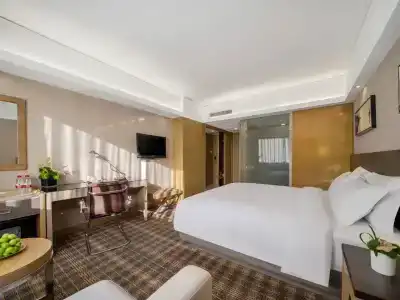 Grand Skylight Shenzhen (Huaqiang NorthBusiness Zone) - 26
