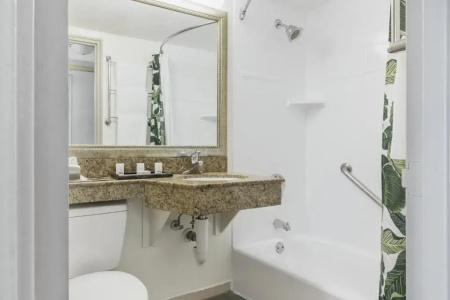 Holiday Inn Port Of Miami-Downtown, An Ihg - 43