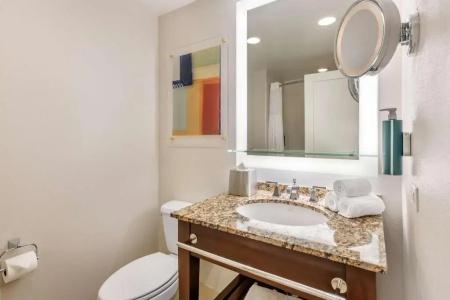 Hilton Grand Vacations Club Las Palmeras Orlando - 80