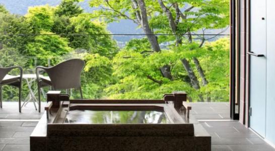 The Hiramatsus & Resorts Sengokuhara Hakone - 58