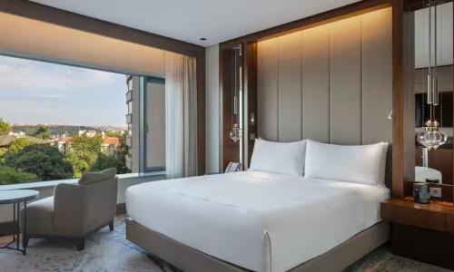 Conrad Istanbul Bosphorus - 51