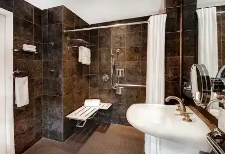 The Sam Houston, Curio Collection by Hilton - 60