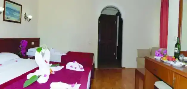 Stella - 29
