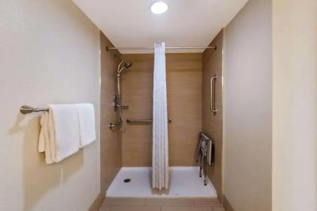 Comfort Inn South Oceanfront - 28