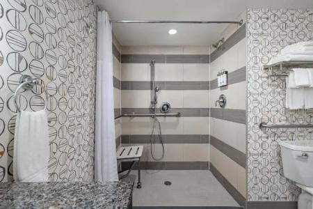 Holiday Inn Downtown Centre By Ihg - 32