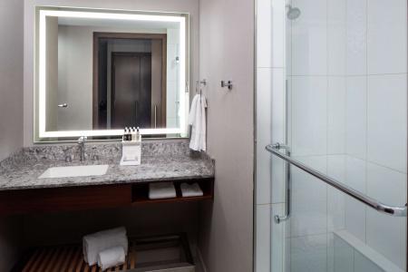 DoubleTree by Hilton - Mayo Clinic Area - 49