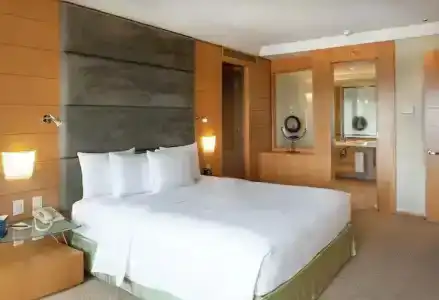 Hilton Sao Paulo Morumbi - 82