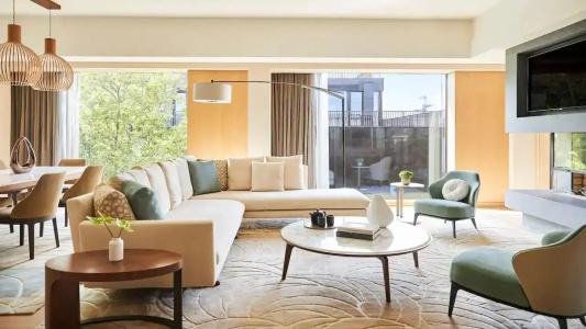 Park Hyatt Zurich – City Center Luxury - 100
